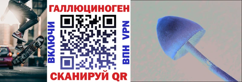 кракен зеркало  Городец  Галлюциногенные грибы ЛСД 